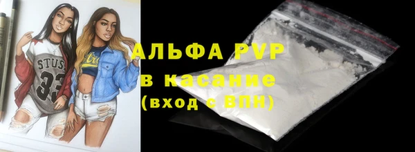 сатива Володарск