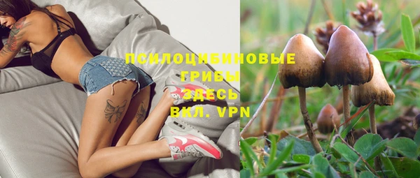 хмурый Вязьма