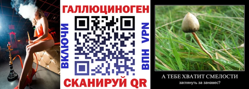 наркотики  Чехов  Псилоцибиновые грибы Magic Shrooms 