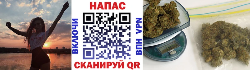 купить наркоту Чехов Канабис Amnesia